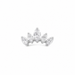 Titanium Top Crown