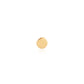 Top Flat Disk