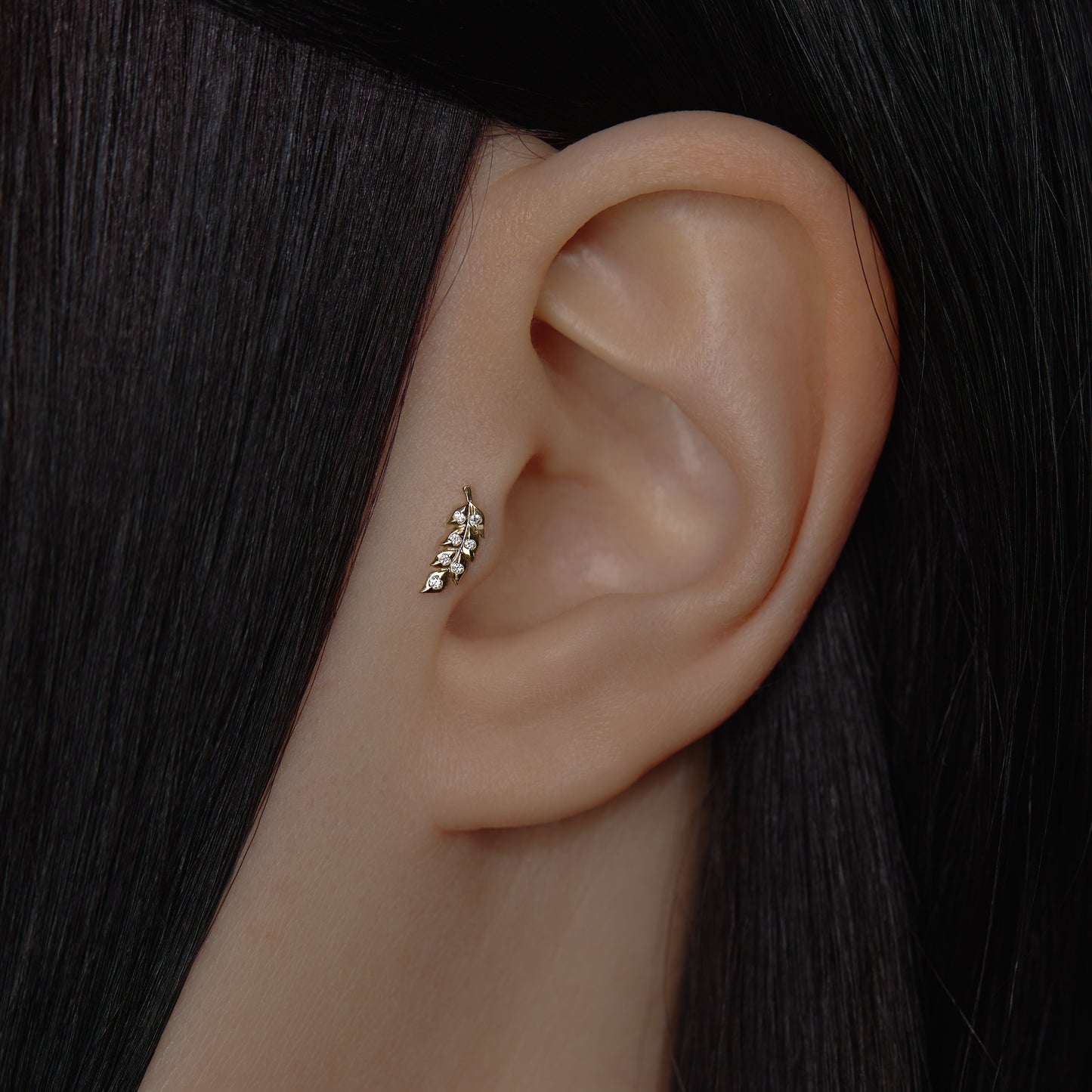Tragus