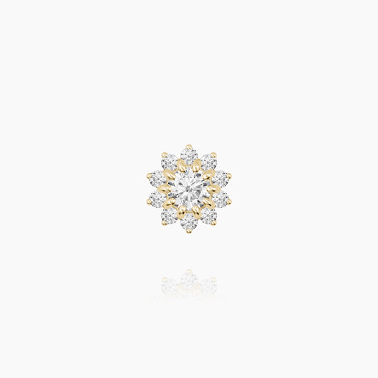 Top Yellow Gold Astra